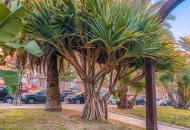 Parque de los Cinco Continentes