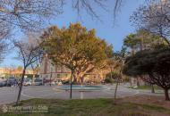 Plaza Asdrúbal