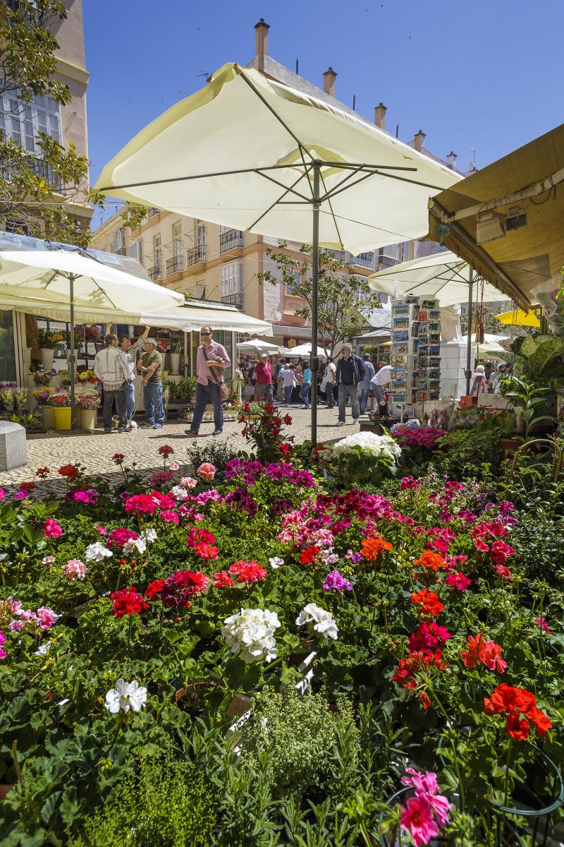 Turismo - Ayuntamiento de Cádiz | Plaza de las Flores y Edificio de Correos